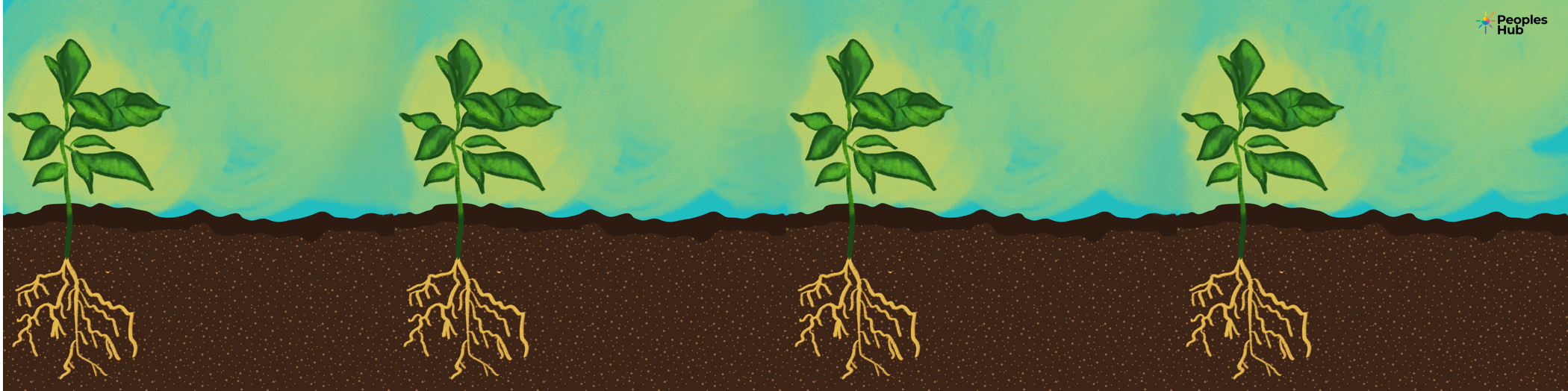 banner image of four seedlings emerging from the soil, view is of underground and the sky.